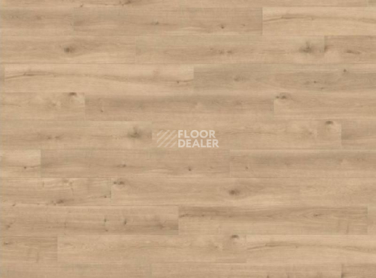 Ламинат Haro Tritty 90 ДУБ МЕЛИНА ПУРО 535238 фото 1 | FLOORDEALER